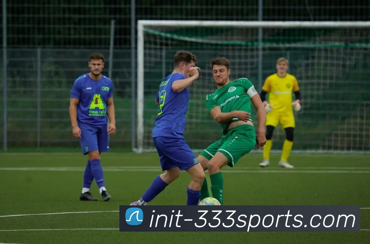 333体育平台生态图